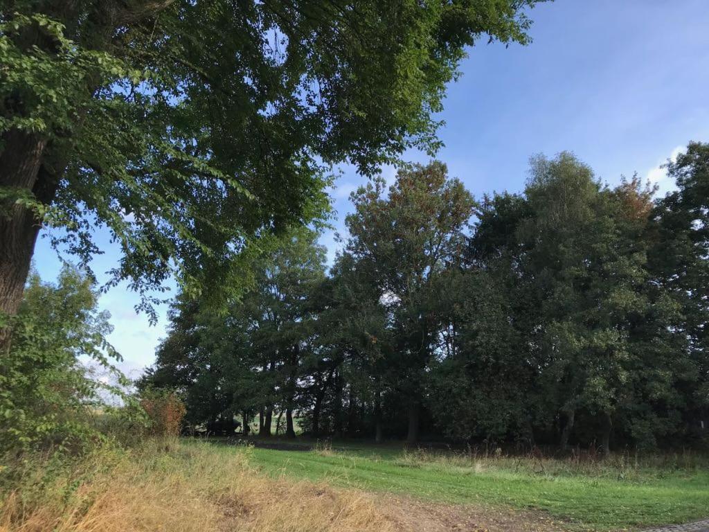 Johanna'S Oostwold  Buitenkant foto